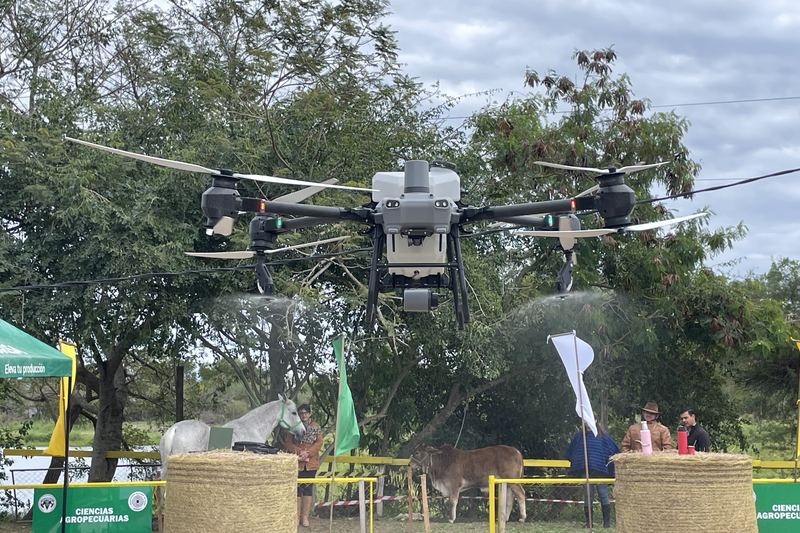 Dron penyembur menunjukkan semburan ketika terbang di atas ladang yang dikelilingi pokok